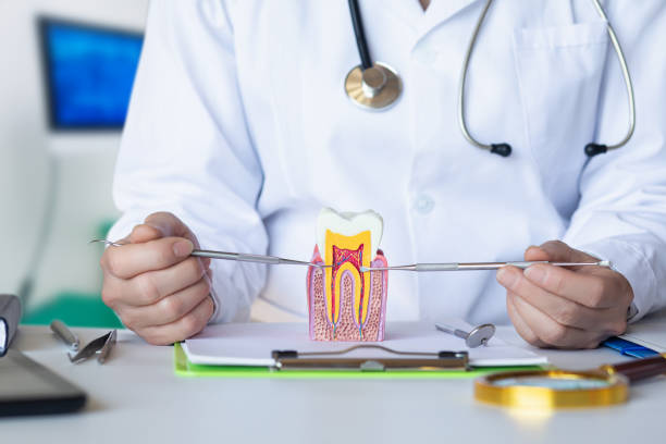 Best Urgent Dental Care in Kensington, CA